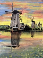 IMG 4675