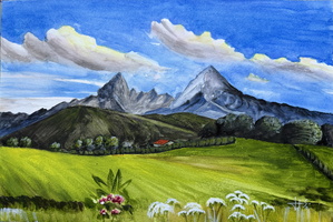 IMG 7473